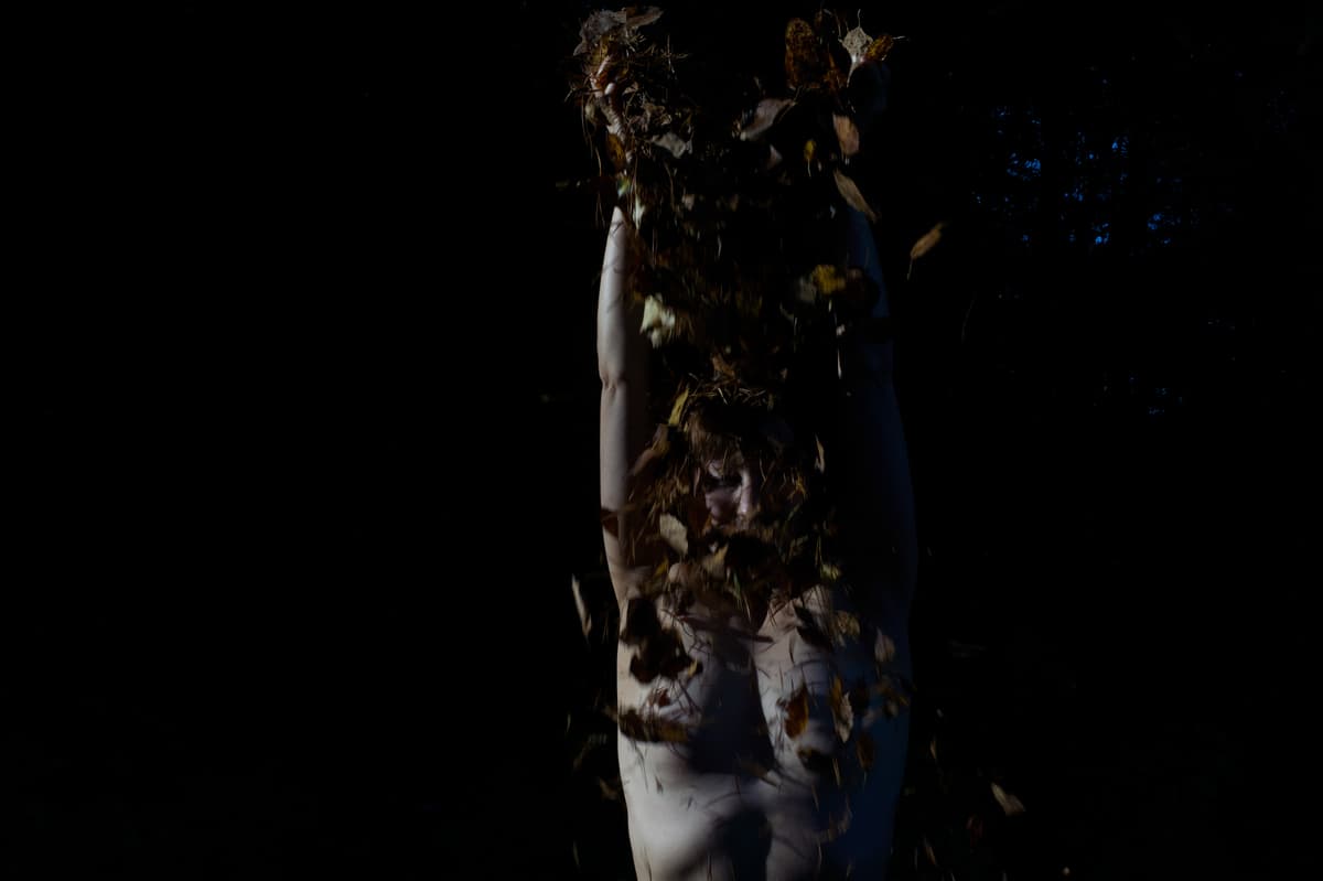 Radicalis 2.0